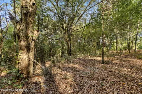 Other - 2049 Cleary Rd, Florence, MS 39073 photo 9 of 11