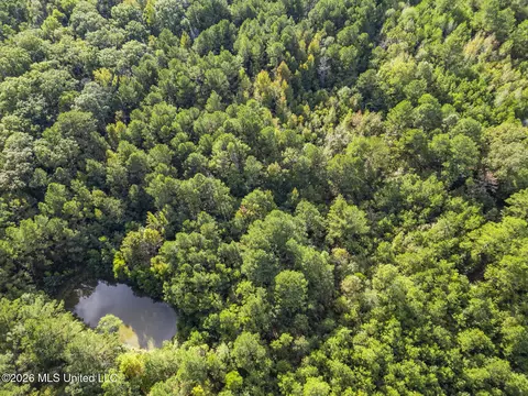 View/Area - 2049 Cleary Rd, Florence, MS 39073 photo 1 of 2