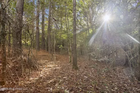Other - 2049 Cleary Rd, Florence, MS 39073 photo 11 of 11