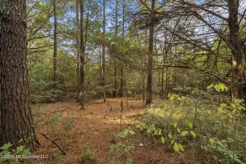 Other - 2049 Cleary Rd, Florence, MS 39073 photo 7 of 11