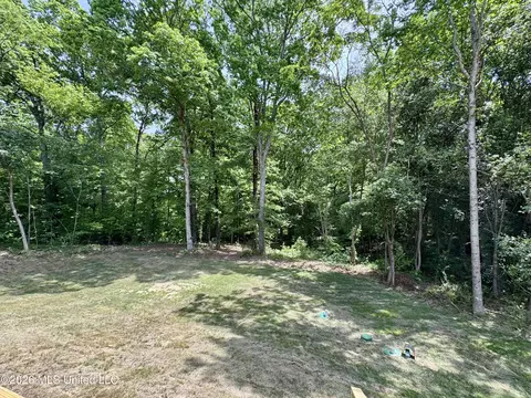 Exterior - 8780 E Thunderbird Dr, Hernando, MS 38632 photo 10 of 10