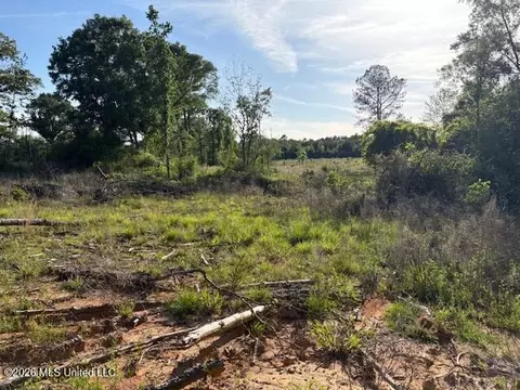 737 State Hwy 902, Pulaski, MS 39152 photo 3