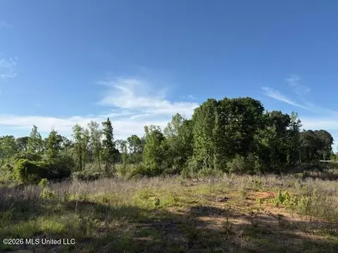 737 State Hwy 902, Pulaski, MS 39152 photo 2