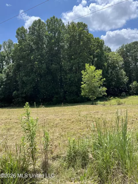 127 Parker Cv, Byhalia, MS 38611