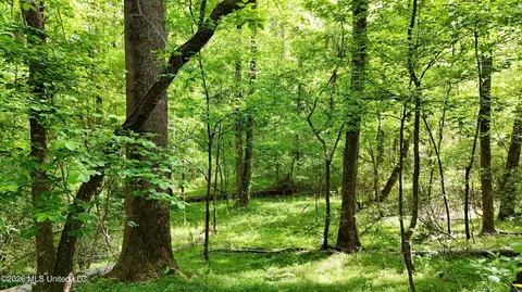 9426 Highway 315, Sardis, MS 38666