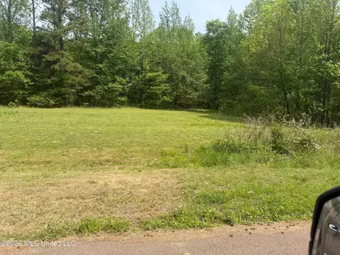 Shamrock Loop, Byhalia, MS 38611 photo 2