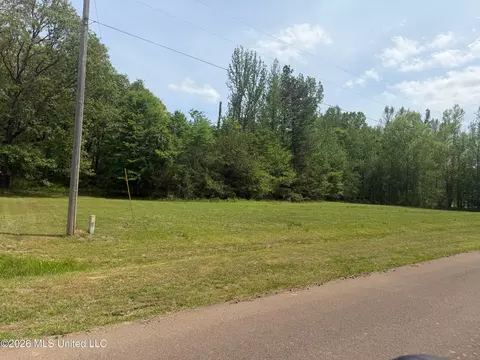 Shamrock Loop, Byhalia, MS 38611 photo 4
