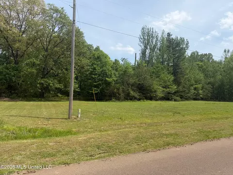 Shamrock Loop, Byhalia, MS 38611 photo 3