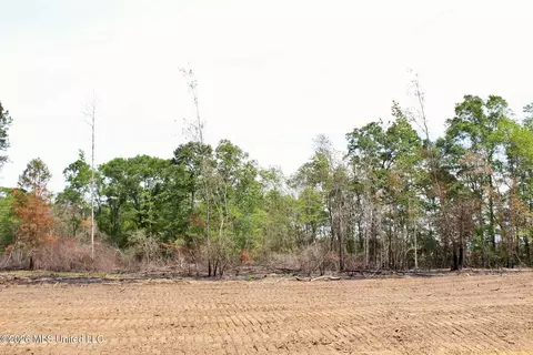 3 78ac Cottonwood Dr, Lucedale, MS 39452
