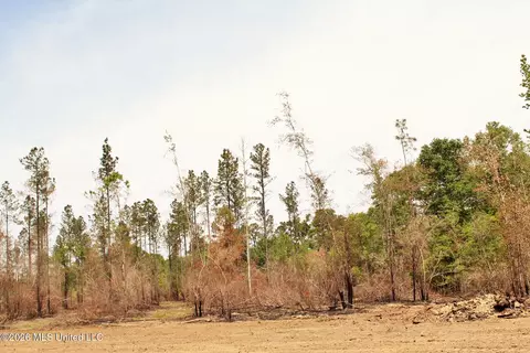 3 78ac Cottonwood Dr, Lucedale, MS 39452 photo 14