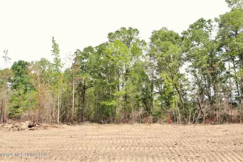 3 78ac Cottonwood Dr, Lucedale, MS 39452 photo 15