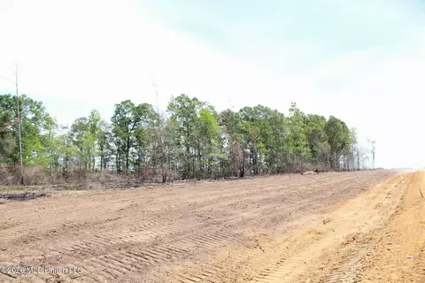 3 78ac Cottonwood Dr, Lucedale, MS 39452 photo 6