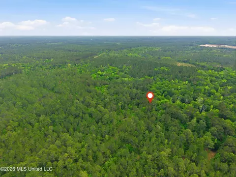 0 Mark Dr, Saucier, MS 39574 photo 13