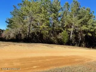 NE Linwood Lane, Brookhaven, MS 39601