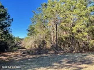 NE Linwood Lane, Brookhaven, MS 39601