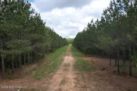 2354 Willie Redden Rd, Greensburg, LA 70441