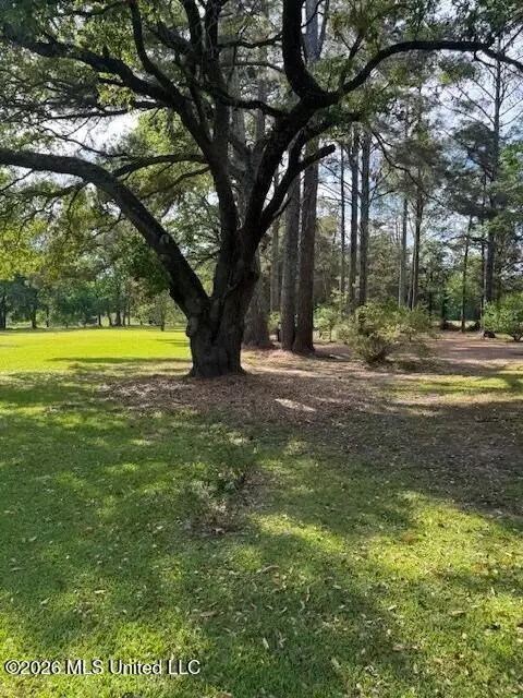 Other - 80 Nolan Rd, Benton, MS 39039 photo 6 of 6