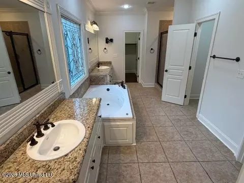 Bath - 273 Cornerstone Dr, Brandon, MS 39042 photo 3 of 7