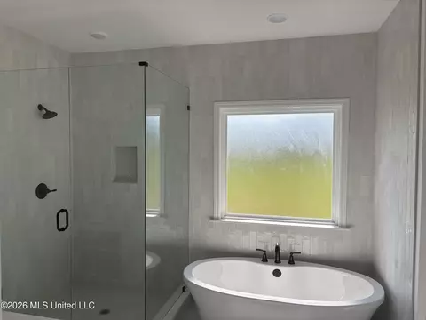 Bath - 1701 Tributary Dr, Hernando, MS 38632 photo 1 of 1