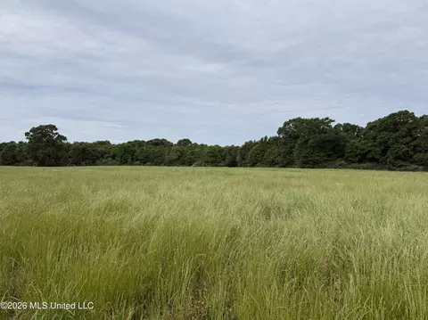 813 Holmesville Rd, Jayess, MS 39641