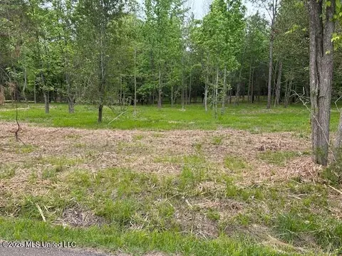 Lansbury Way, Madison, MS 39110 photo 2