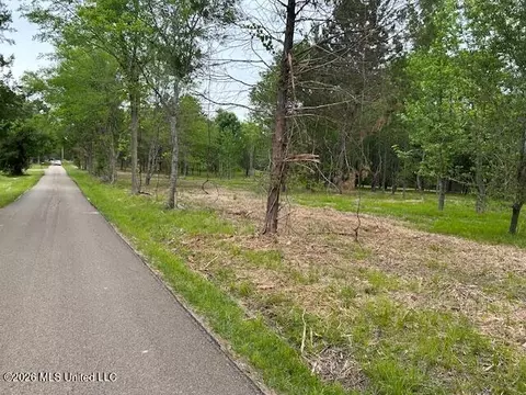 Lansbury Way, Madison, MS 39110 photo 3