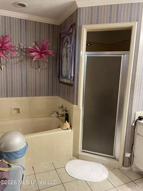 Bath - 5253 Forest Hill Rd # B, Jackson, MS 39272 photo 2 of 3