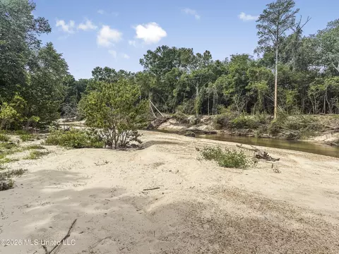 3195 Leatherwood Rd, Tylertown, MS 39667