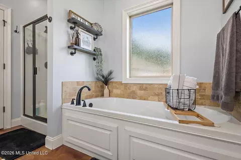 Bath - 434 Pecan Cir, Brandon, MS 39042 photo 1 of 4