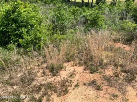 000 Layton Jones Rd, Mendenhall, MS 39114 photo 14
