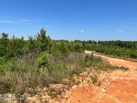 000 Layton Jones Rd, Mendenhall, MS 39114 photo 9