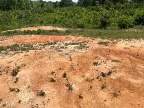 000 Layton Jones Rd, Mendenhall, MS 39114 photo 6
