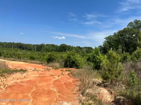 000 Layton Jones Rd, Mendenhall, MS 39114 photo 11
