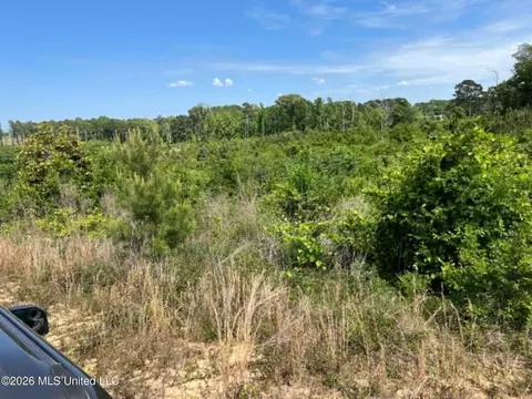 000 Layton Jones Rd, Mendenhall, MS 39114 photo 3