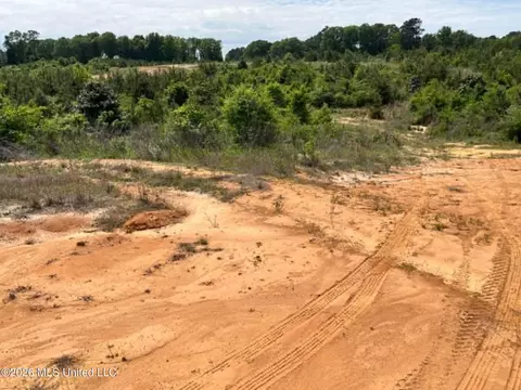 000 Layton Jones Rd, Mendenhall, MS 39114 photo 5