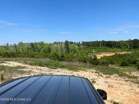 000 Layton Jones Rd, Mendenhall, MS 39114 photo 2