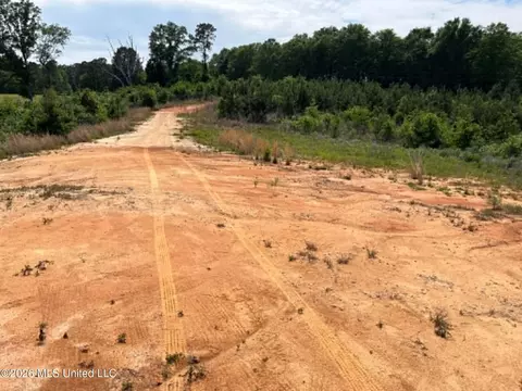 000 Layton Jones Rd, Mendenhall, MS 39114 photo 8