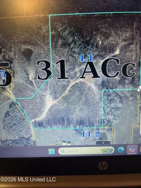 000 Layton Jones Rd, Mendenhall, MS 39114 photo 15