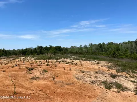 000 Layton Jones Rd, Mendenhall, MS 39114 photo 13