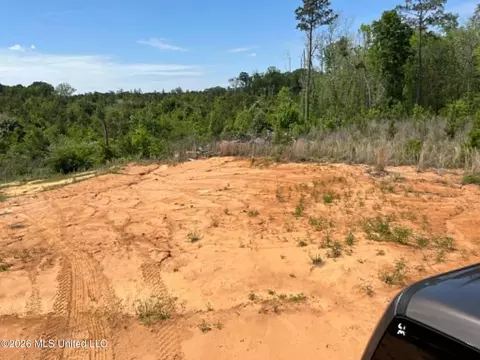 000 Layton Jones Rd, Mendenhall, MS 39114 photo 7