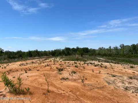 000 Layton Jones Rd, Mendenhall, MS 39114 photo 12