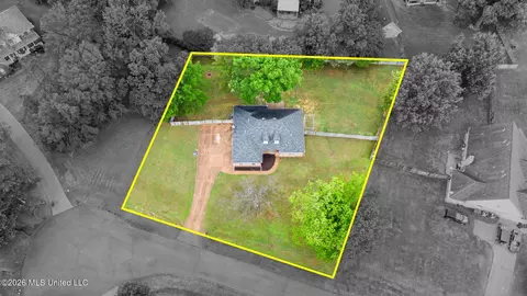 View/Area - 3306 Pankins Park Pl, Nesbit, MS 38651 photo 3 of 5