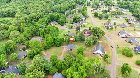 View/Area - 3306 Pankins Park Pl, Nesbit, MS 38651 photo 4 of 5