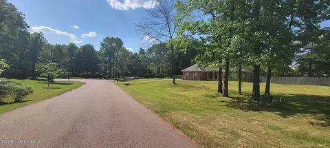 Other - 3306 Pankins Park Pl, Nesbit, MS 38651 photo 3 of 3