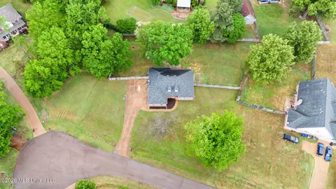 View/Area - 3306 Pankins Park Pl, Nesbit, MS 38651 photo 2 of 5