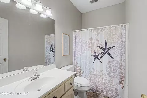 Bath - 3306 Pankins Park Pl, Nesbit, MS 38651 photo 3 of 3