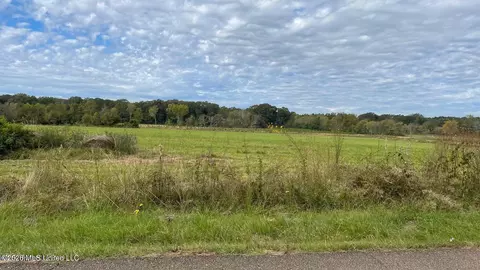 0 Us-80, Forest, MS 39074 photo 5