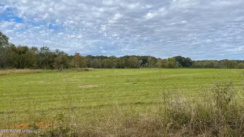 0 Us-80, Forest, MS 39074 photo 7