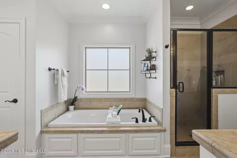 Bath - 124 Grayhawk Dr, Madison, MS 39110 photo 1 of 5