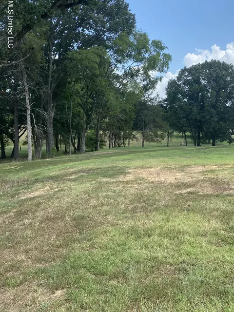 0 Hunters Walk Cv, Hernando, MS 38632 photo 2